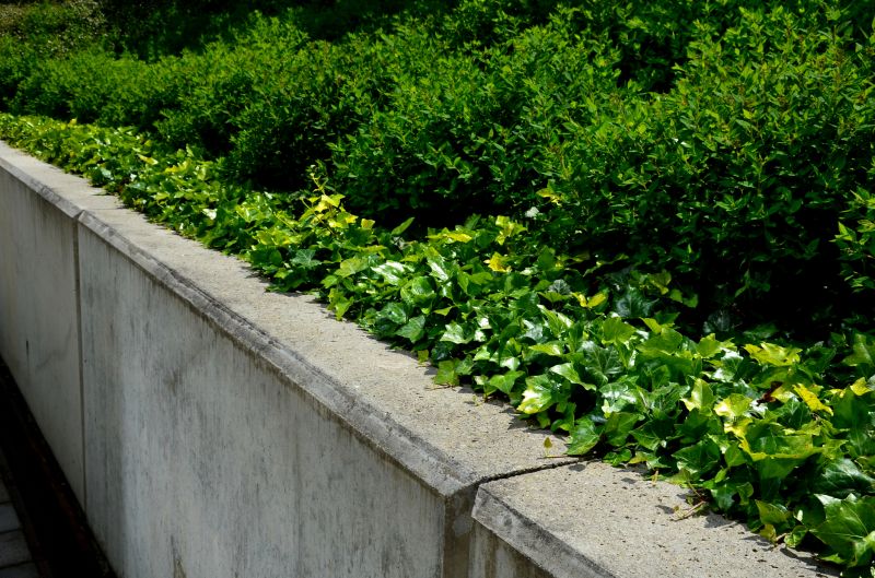 Concrete Retaining Walls
